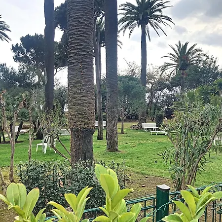 Superbes Prestations Terrasse Piscine 350l